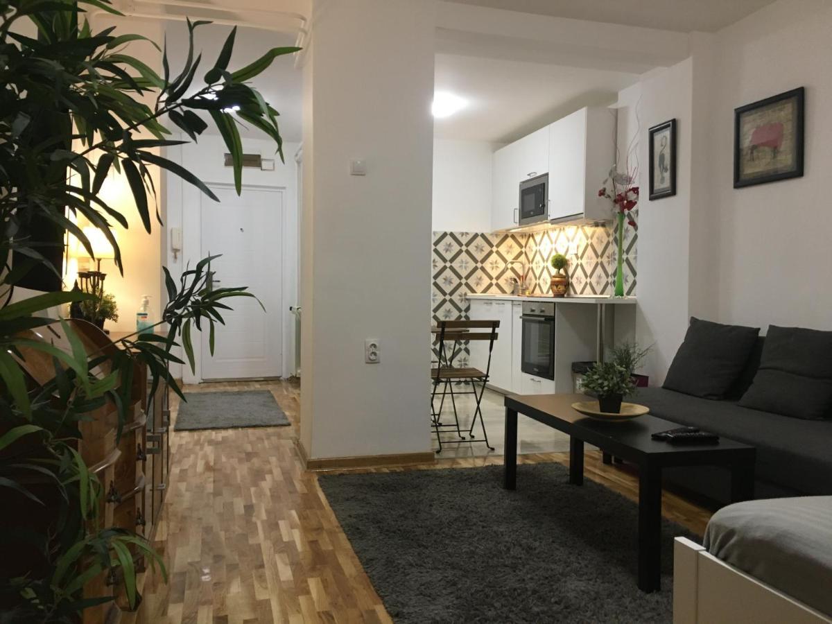 Appartement Axis Mundi à Belgrade Extérieur photo