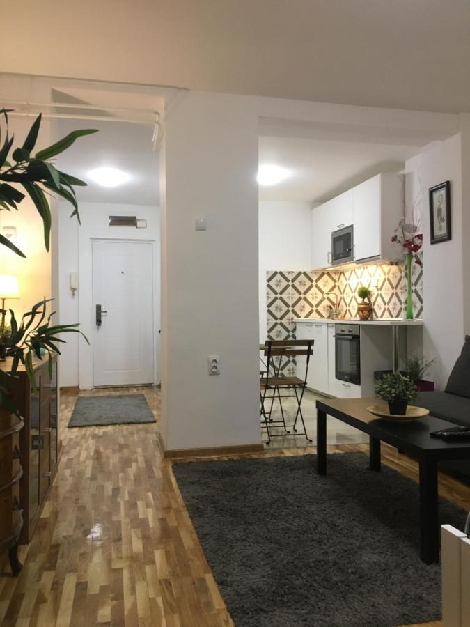 Appartement Axis Mundi à Belgrade Extérieur photo
